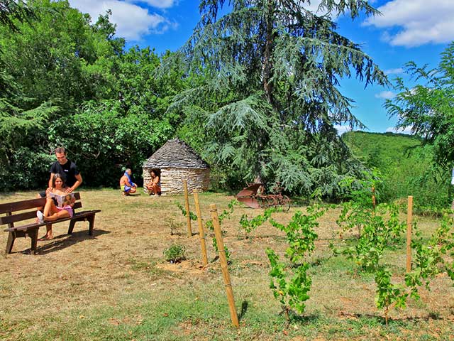 contact-paille-basse